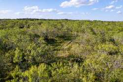 6562 Cross Road Seguin TX 78155