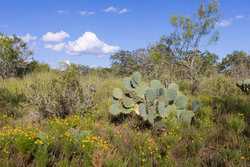 6562 Cross Road Seguin TX 78155