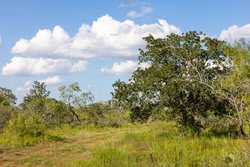 6562 Cross Road Seguin TX 78155