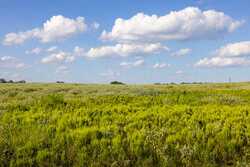 6562 Cross Road Seguin TX 78155