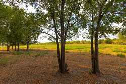 3000 Fm 1063 Taylor TX 76574