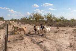 Del Rio TX 78840