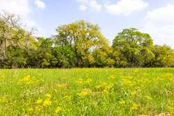 243 Cr 442 Harwood TX 78632