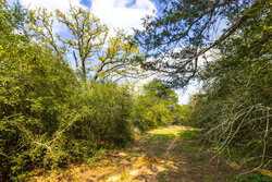 243 Cr 442 Harwood TX 78632