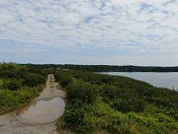 Cutler Road Cutler ME 04626