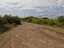 Cutler Road Cutler ME 04626