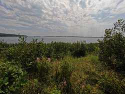 Cutler Road Cutler ME 04626