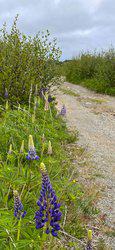Cutler Road Cutler ME 04626