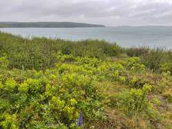 Cutler Road Cutler ME 04626