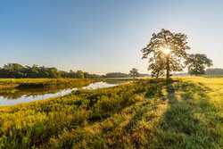 Creek 481 Thrall TX 76578