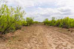 Fm 1668 Crystal City TX
