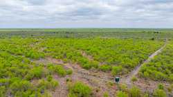 Fm 1668 Crystal City TX