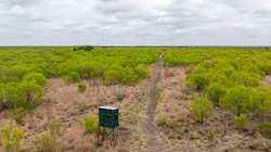 Fm 1668 Crystal City TX