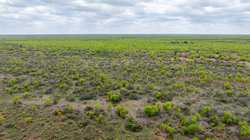 Fm 1668 Crystal City TX