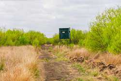 Fm 1668 Crystal City TX