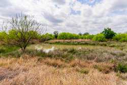 Fm 1668 Crystal City TX
