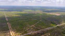 Fm 1668 Crystal City TX