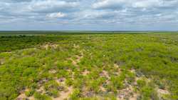 Fm 1668 Crystal City TX
