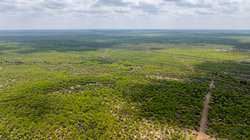 Fm 1668 Crystal City TX