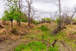 Fm 1668 Crystal City TX