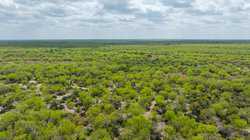 Fm 1668 Crystal City TX