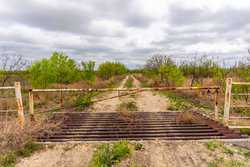 Fm 1668 Crystal City TX