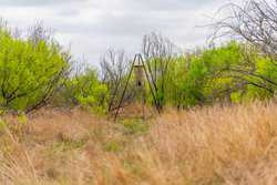 Fm 1668 Crystal City TX