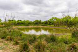 Fm 1668 Crystal City TX