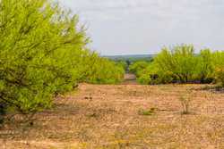 Fm 1668 Crystal City TX