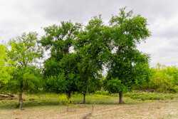 Fm 1668 Crystal City TX