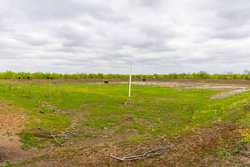 Fm 1668 Crystal City TX