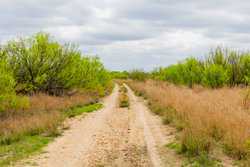 Fm 1668 Crystal City TX