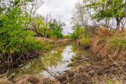 Fm 1668 Crystal City TX
