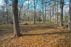 Tbd Cr 230 Harwood TX 78632