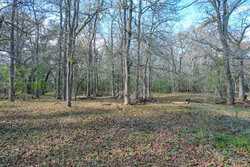 Tbd Cr 230 Harwood TX 78632