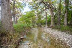 Utopia TX