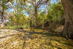 Utopia TX
