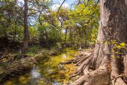 Utopia TX