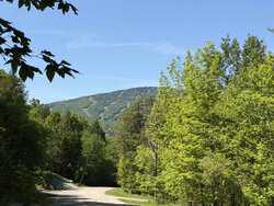 High Meadow Winhall VT 05340