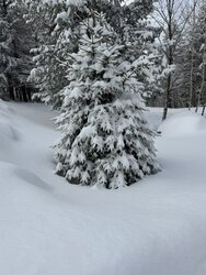 High Meadow Winhall VT 05340