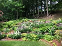 37 Maxham Road Pomfret VT 05067