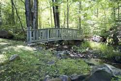 Winhall Woods Winhall VT 05340