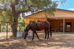 34510 Smithson Valley Road Bulverde TX 78163