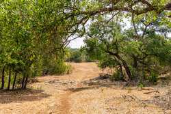 34510 Smithson Valley Road Bulverde TX 78163