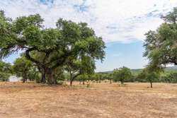 34510 Smithson Valley Road Bulverde TX 78163