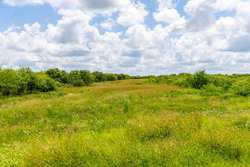 Kenedy TX