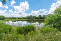 Kenedy TX