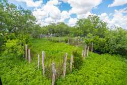 Kenedy TX