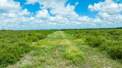 Kenedy TX