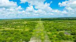 Kenedy TX